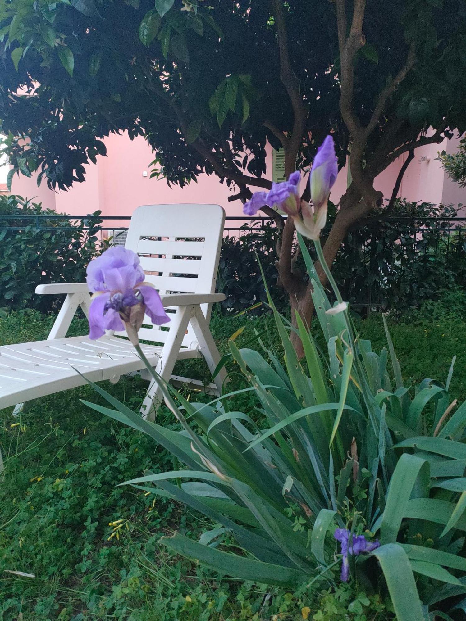 La Casa Di Cri Al Mare Due Villa Borgio Verezzi Dış mekan fotoğraf