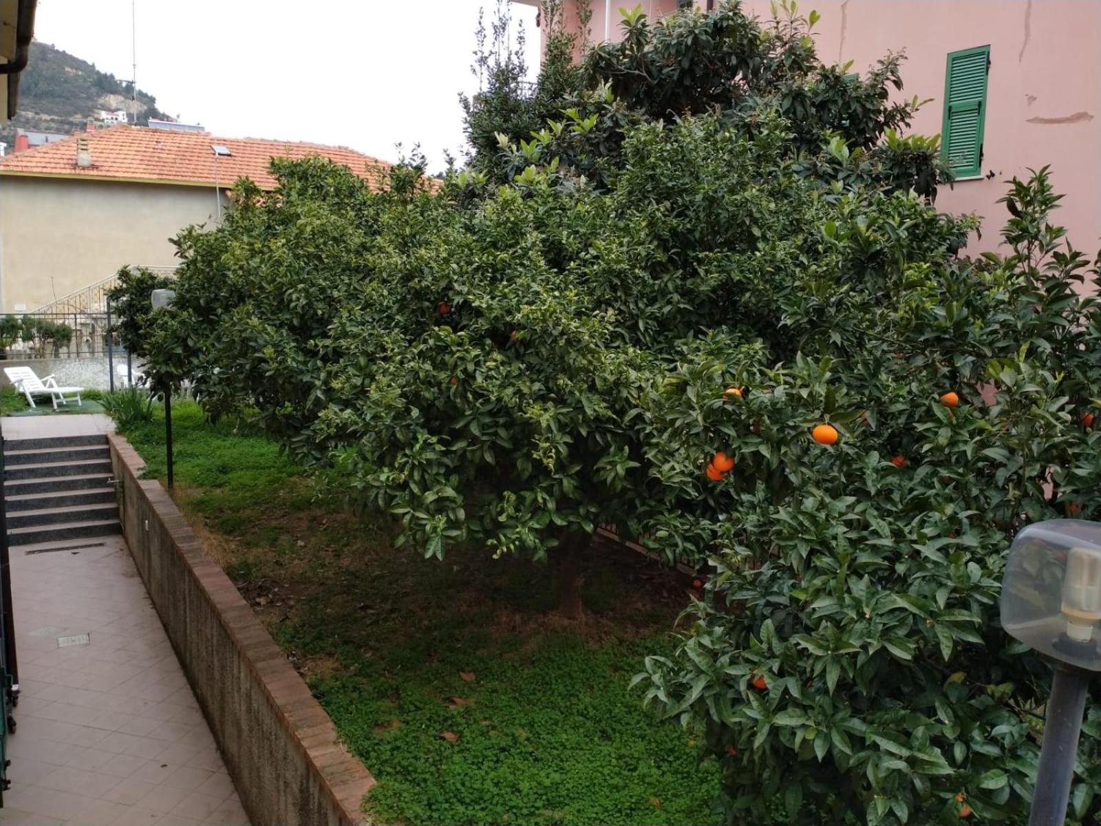 La Casa Di Cri Al Mare Due Villa Borgio Verezzi Dış mekan fotoğraf